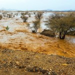 محافظ بيش وجموع المصلين يؤدون صلاة الميت على شهيد الواجب العنبري