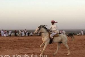 “٢٤” فارساً يشاركون بفعاليات سباق الخيول بالثمد