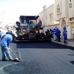 “بلدية مليجة” تتزين بأكثر من 134 ألف زهرة و 811 نخلة و820 شجيرة