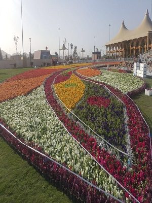 مهرجان ورد الطائف يواصل فعالياته إلى 18 رجب