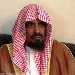 ” صناعة وصانع التطوير”