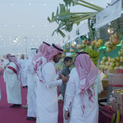 المدنية … غداً الخميس نهاية استقبال طلبات تقديم الخريجين على الوظائف التعليمية