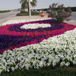 بلدية القطيف وجامعة ”الفهد“ يطلقان مبادرة للتطوير العمراني بالمحافظة