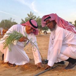 بلدية “الخفجي” تزين المواقع العامة بالزهور