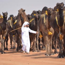 الأمير فيصل بن بندر يرعى إطلاق ملتقى الأوقاف الرابع 28 جمادي الأولى المقبل