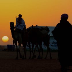 وظائف أكاديمية شاغرة بجامعة الأمير سطام بالخرج