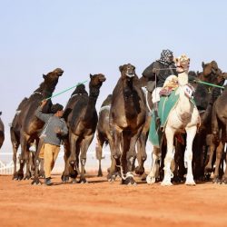 ” الغامدي ” أستاذاً مشاركاً في علم النفس بجامعة المؤسس