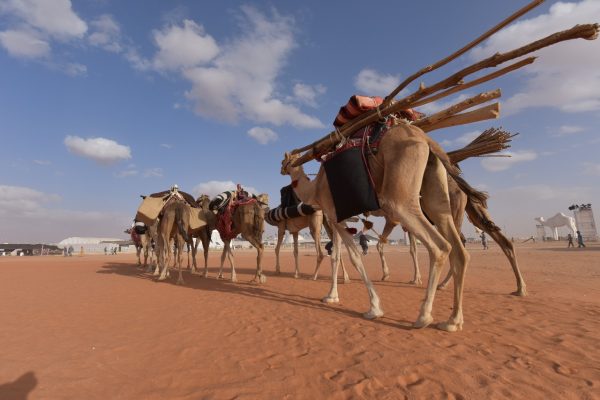 “لطَّامة” و”الحاكمة” تتوّجان بفرديات “جل الصفر والشعل”