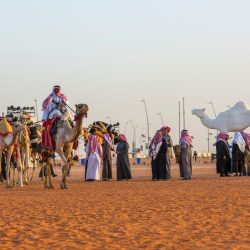 رئيس لجان التنظيم بمهرجان الملك عبد العزيز للإبل: عقوبات بانتظار أصحاب المسيرات الداعية للنَعَرات القبلية