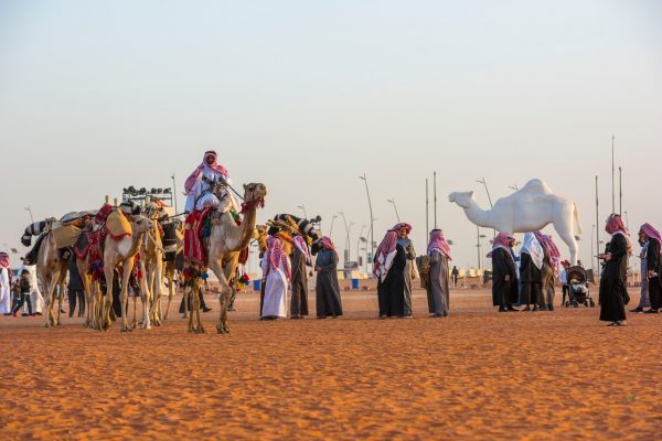 دِق” و”جِل” و”فحل” تضبط إيقاع التنافس في “فردي” مهرجان الملك عبد العزيز للإبل