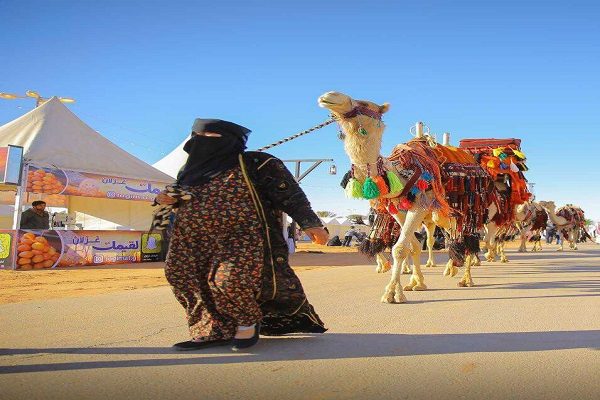 “سبعينية شمالية” تخطف عدسات المصورين في ربيع بريدة ٣٩