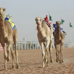 “رئيس الهلال الأحمر ” يستقبل رئيس وأعضاء لجنة أصدقاء الهلال الأحمر بمنطقة الرياض