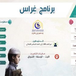 ساكنو وادي”يادمان برجال ألمع” : 30 عاماً وطلبات السفلتة أسيرة الإدراج