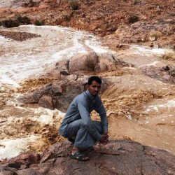 الألعاب الكشفية في الجنادرية متعة ومرح وبهجة للأطفال