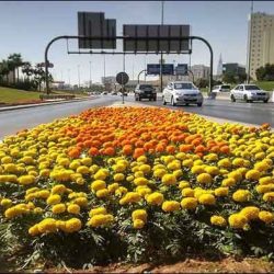 وزير البيئة يدشن مشروع المنتزه البري “بغميقة”ويزور المنتزة البري “بالماء الحار”