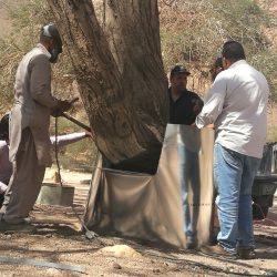 “البيئة”: تسجل ثلاث إصابات جديدة بإنفلونزا الطيور خلال الـ 24 ساعة الماضية