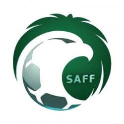 اختيار طاقم تحكيم “سعودي” لكأس العالم