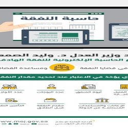 “العمل” : “41” مركزاً للتنمية الاجتماعية يشرف على “2156” كيانًا أهليًا في 2017م