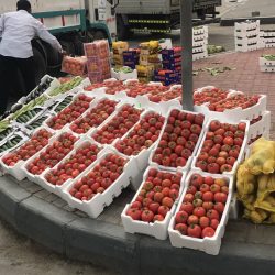 البازعي والشراري يتفقدا الطرق في أملج