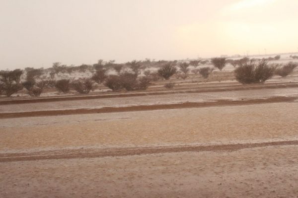 الطائف..  مطر وغيم وبرد وورد لليوم الرابع على التوالي