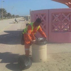 استقالة “أبو داؤود”..  و “شليه” بديلاً له في إدارة الكرة بالأهلي