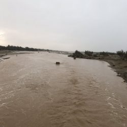 أمير عسير يوجه بتعليق الدراسة غداً الأربعاء