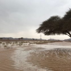 هطول أمطار متوسطة إلى خفيفة عصر اليوم على المدينة المنورة