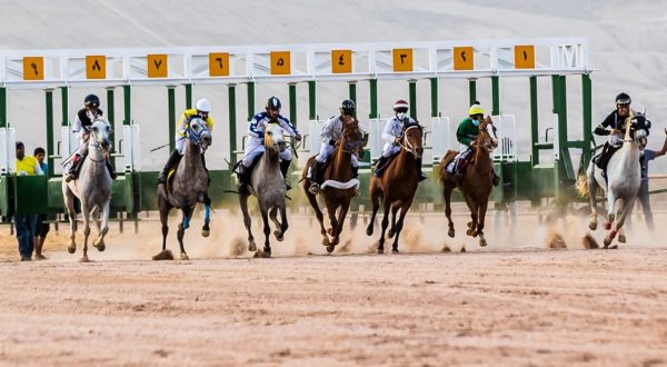 مدير جامعة الباحة يرعى سباق الخيل على كأس الجامعة