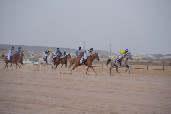 انطلاق سباق السرعة للخيل العربية الأصيلة الثالث على كأس إمارة الباحة غداً الأربعاء