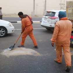 عشرات الجرحى بانقلاب قطار في مصر