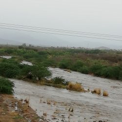 كوريا تجهز أخضر التايكوندو للمعترك الآسيوي بجاكرتا