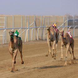 مدرسة الحليفة العليا الابتدائية والمتوسطة تنظم إحتفالاً بمناسبة اليوم الوطني