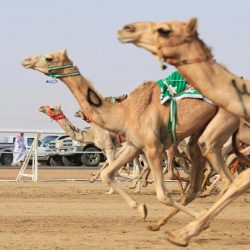 ضبط شقة تستغلها عمالة لإعداد وتحضير أطعمة غير صحية بالجبيل