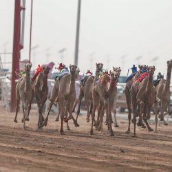 أمين ‏العاصمة المقدسة يستقبل رئيس نادي الوحدة