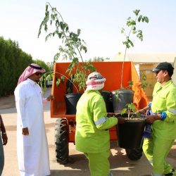 أخضر الكاراتية يشارك في دولية تشيلي