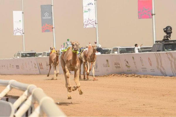 ولي العهد يتبرع بـ10 مليون لميدان الطائف