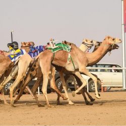 مدير جامعة القصيم: اليوم الوطني نستذكر فيه ملحمة التوحيد ومعركة البناء والتنمية