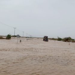 أمير نجران يثمّن مبادرة النادي الأدبي “قالوا في حب الوطن”