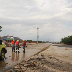 الأسبوع الذهبي في لجنة التنمية الاجتماعية النسائية ببريدة حواء