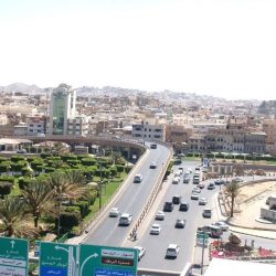 التدريب العدلي يختتم برنامج تأهيل قضاة استئناف المحاكم العمالية