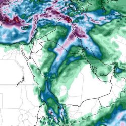 لجنة مكافحة التبغ تضبط منفذ يبيع التمباك لصغار السن في الطائف