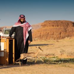 الزعيم يختتم تحضيراته للقادسية