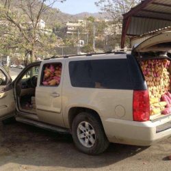 رئيس الفرع بعد تحقيق فريقه بطولة المملكة للتايكوندو .. أطحنا بالكبار والقادم أجمل