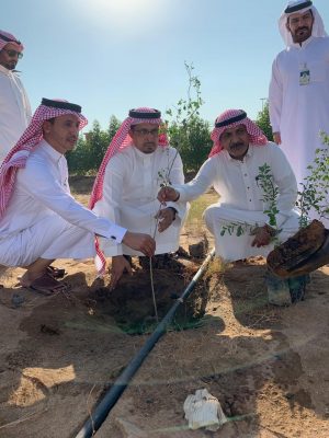 زراعة”١٠٠٠”شجرة بمنتزه الجموم البري