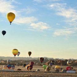 بلدية مركز القفل تواصل رش المبيدات الحشرية بشكل مكثف