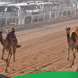 الدفاع المدني السوداني: 121 وفاة ناجمة عن الفيضانات والسيول