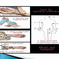 وصول أولى رحلات المعتمرين من خارج المملكة إلى جدة بعد غدٍ