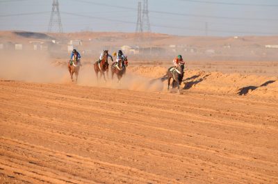 لجنة التنمية الاجتماعية بعرعر تنظم سباقاً للخيل