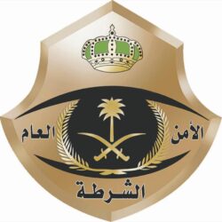 وزير النقل اليمني يناقش مع ممثلي شركات طيران الجيبوتية والسعيدة تشغيل الرحلات وتعزيز النشاط الملاحي الجوي