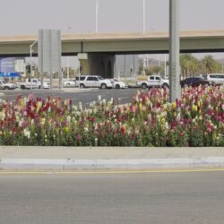 ناشئي الهلال وبراعم الفيصلي أبطال الوسطى للريشة 